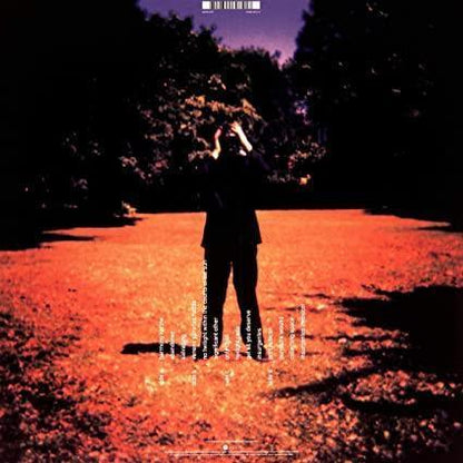 Steven Wilson - Insurgentes (2 LP) - Joco Records