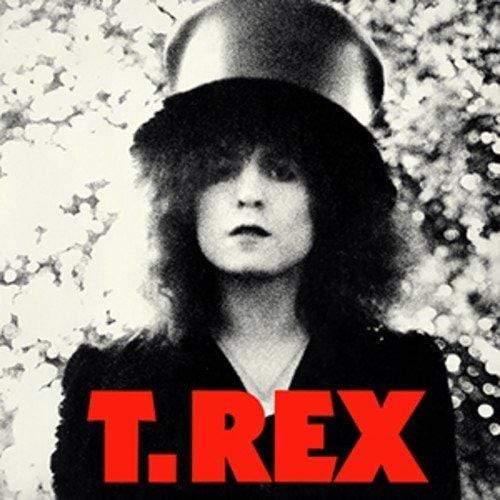 T.Rex - The Slider Vinyl - T.Rex - Joco Records