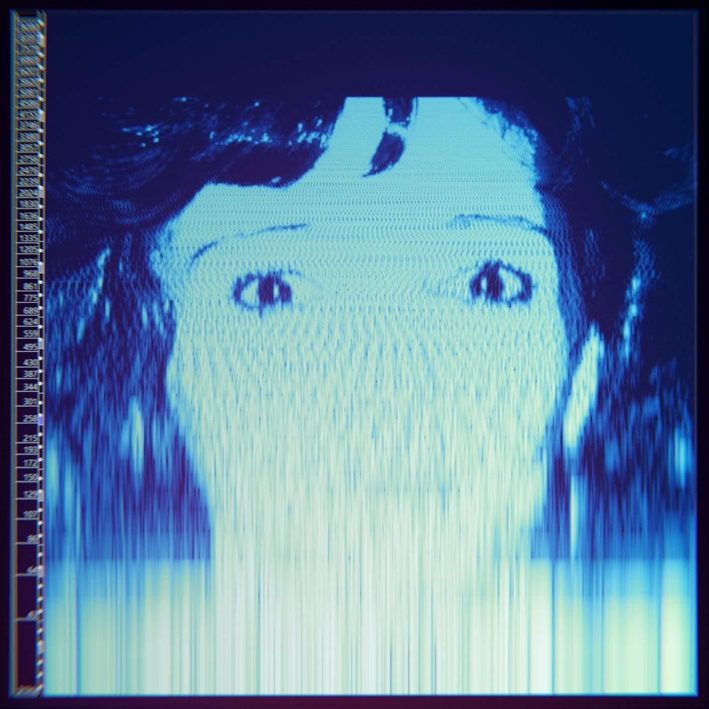 The Avalanches - We Will Always Love You (2 LP) - Joco Records