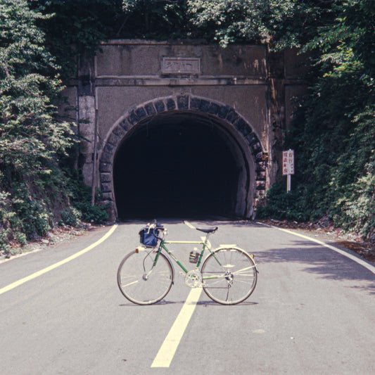The Backseat Lovers - When We Were Friends (Record Stop Exclusive | Translucent Pink Vinyl) - Joco Records