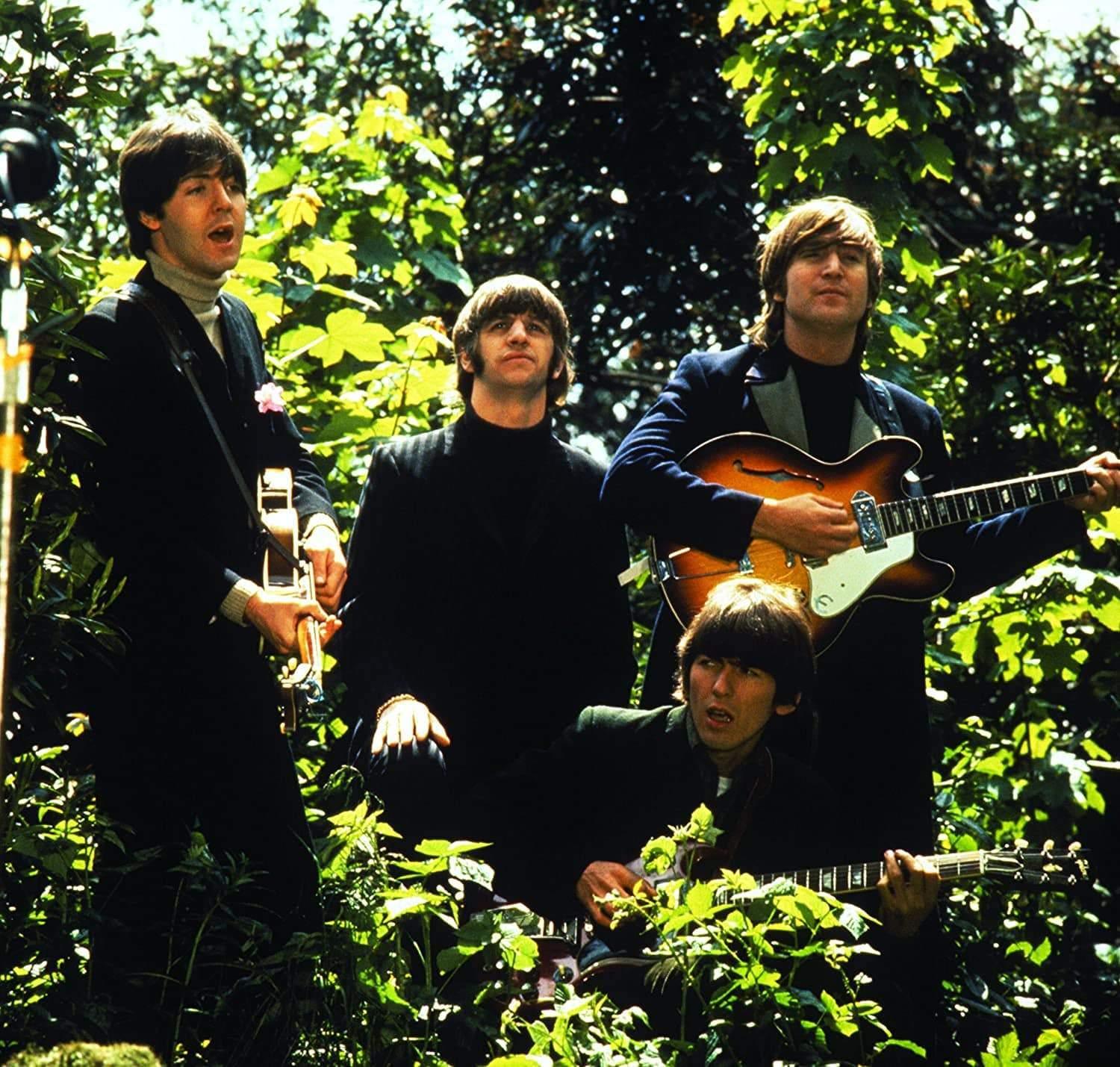 VINILE The Beatles 1 – Firefly Audio