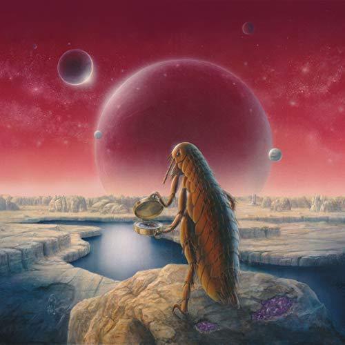 The Claypool Lennon Delirium - South Of Reality (Pink Vinyl) (2 LP) - Joco Records