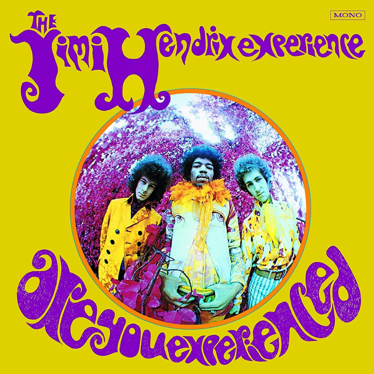The Jimi Hendrix Experience - Are You Experienced (Mono, Remastered, 180 Gram) (LP) - Joco Records
