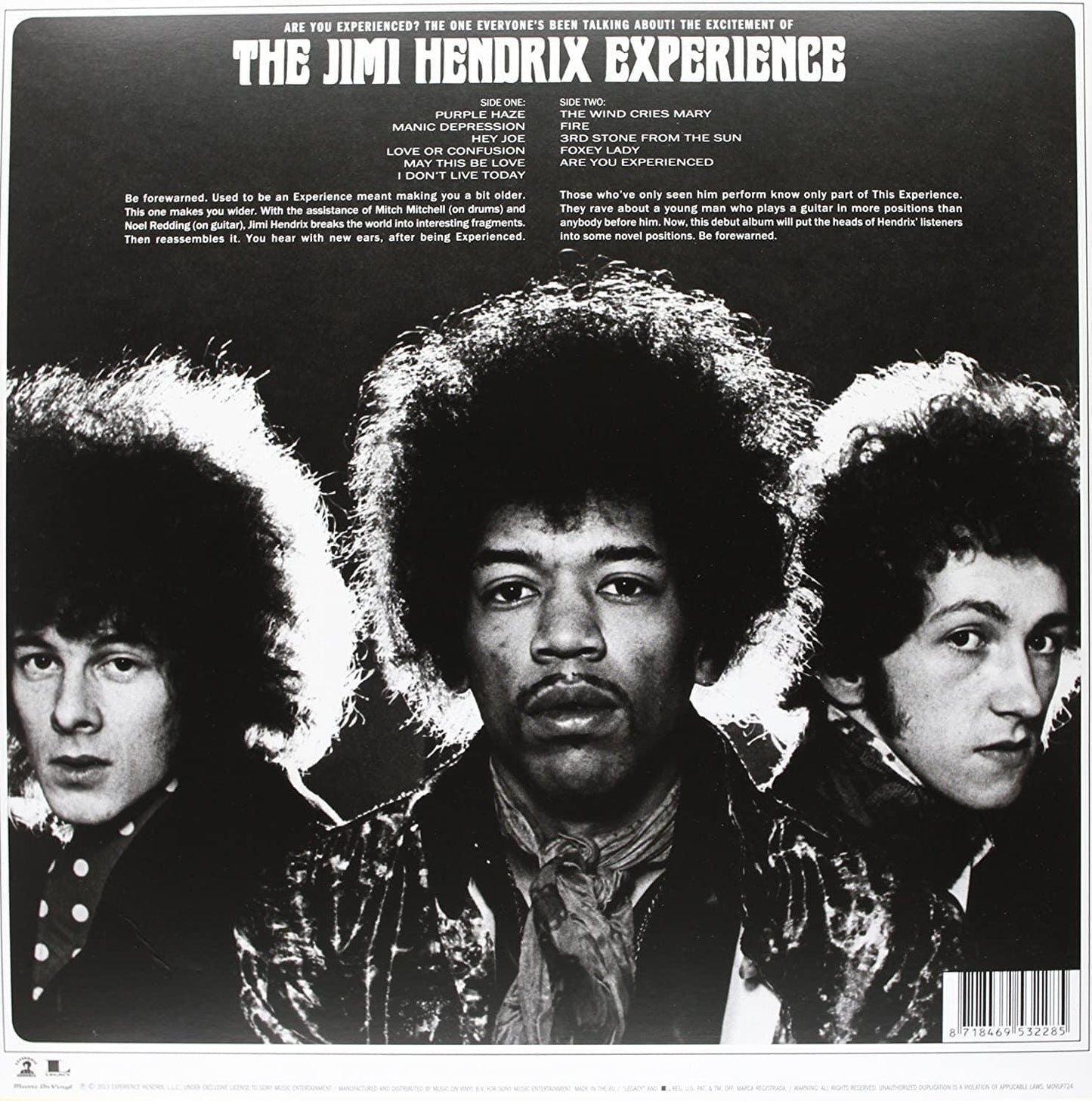 The Jimi Hendrix Experience - Are You Experienced (Mono, Remastered, 180 Gram) (LP) - Joco Records