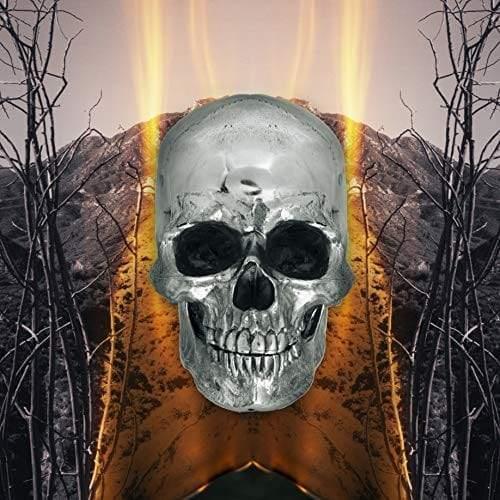 The Neverly Boys - Dark Side Of Everything (LP) - Joco Records