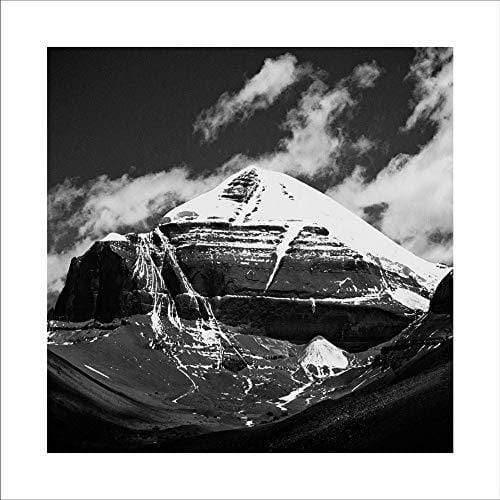 Throbbing Gristle - Part Two: The Endless Not + Tg Now (Vinyl Box Set) - Joco Records