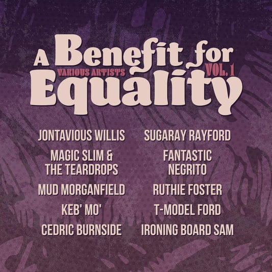 Various Artists - Benefit For Equality 1 (Limited Edition, Indie Exclusive) (Vinyl) - Joco Records