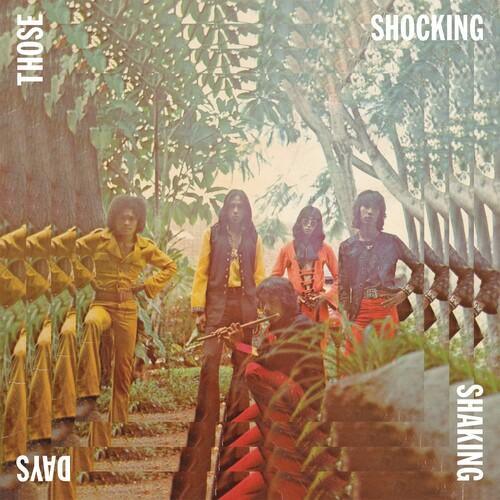 Various Artists - Those Shocking Shaking Days (2 LP) - Joco Records