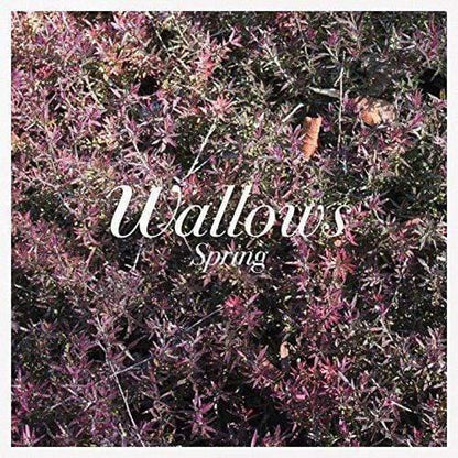 Wallows - Spring (EP) - Joco Records
