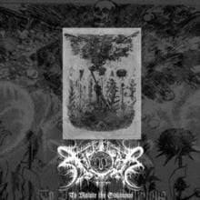 Xasthur - To Violate The Oblivious (2 LP) (Import) - Joco Records